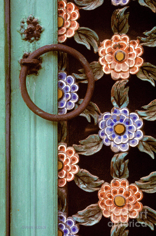 Korean temple decoration - Floral Gate Detail Photograph by Sharon Hudson