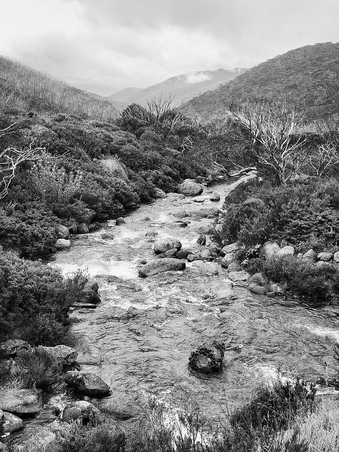 Kosciuszko Alpine Scene 2 - Australia BW Photograph by Lexa Harpell