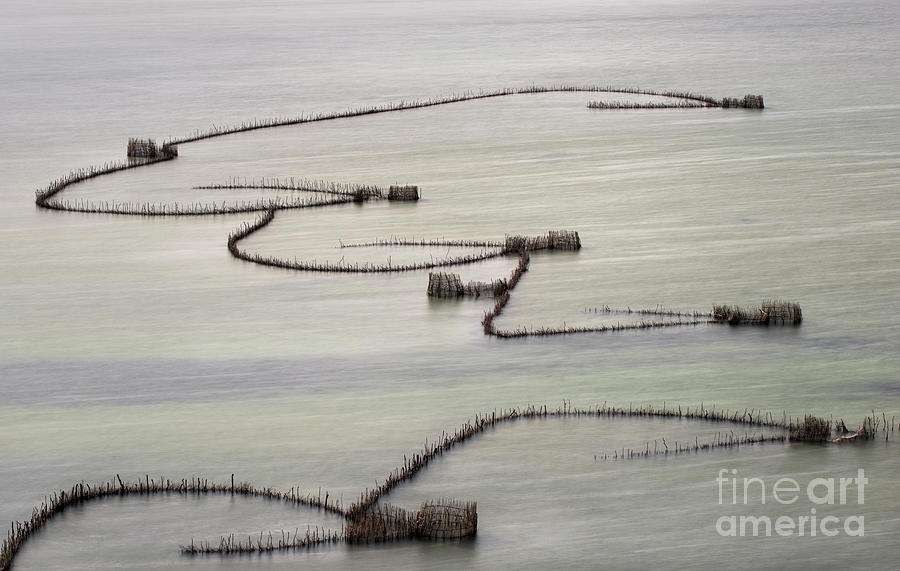 Kosi Bay Fishing Traps Photograph by Tony Camacho - Pixels