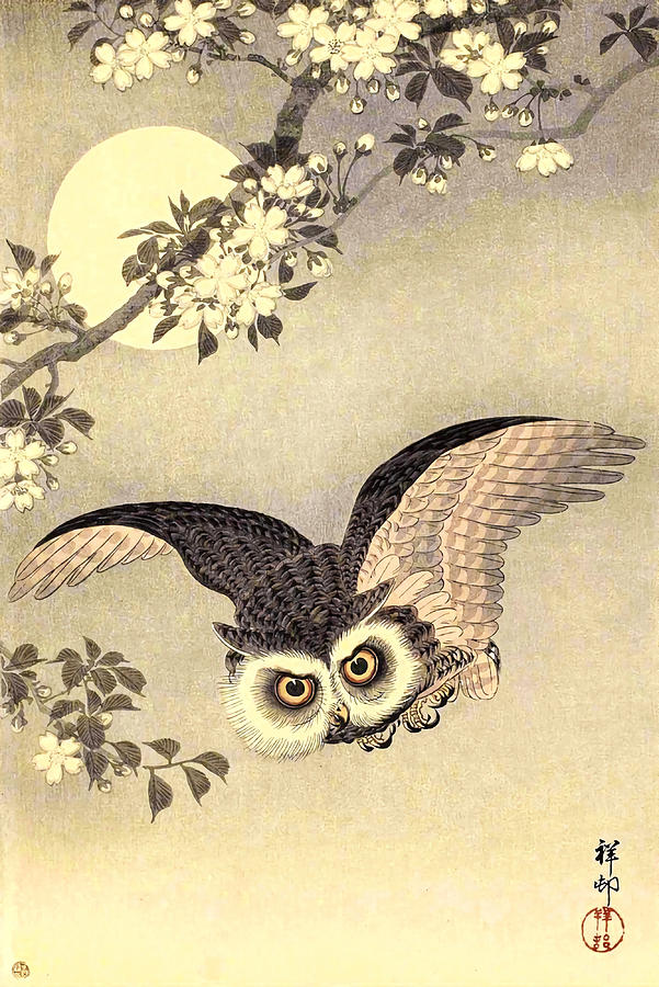 Koson Ohara Scops Owl in Flight Cherry Blossoms Painting by Joe Taylor ...