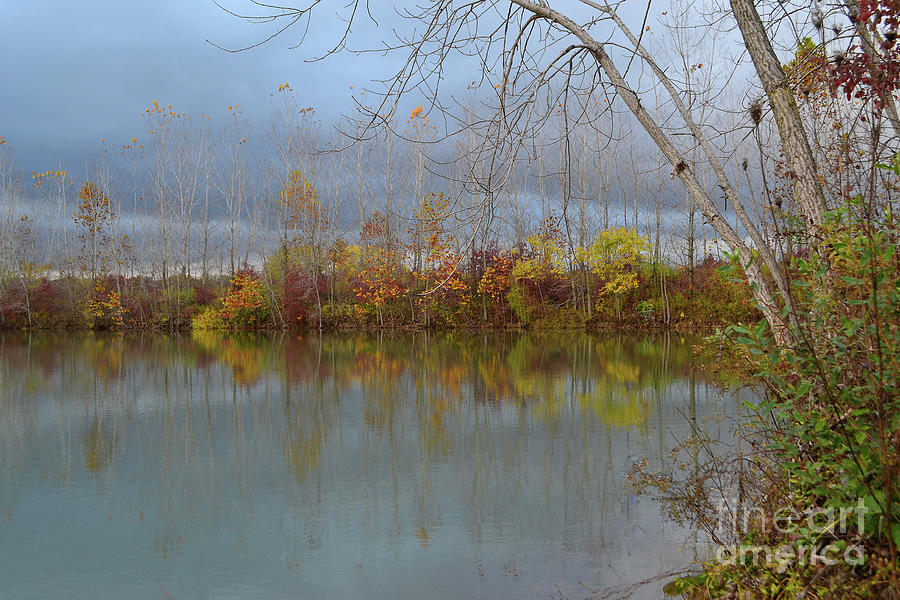 Koteewi Moody Fall Reflections  Photograph by Amy Lucid
