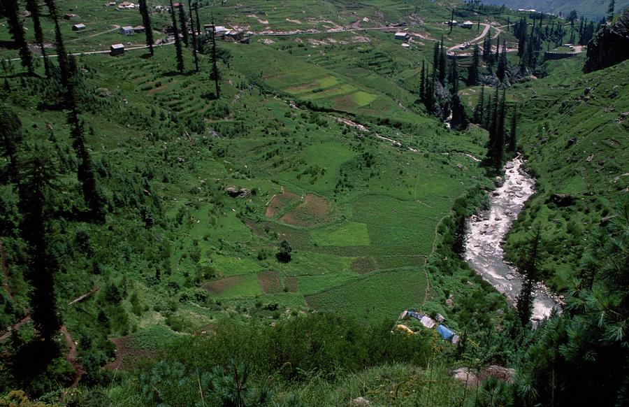 Kothi, Manali, India Photograph by Vikas Ragta - Pixels