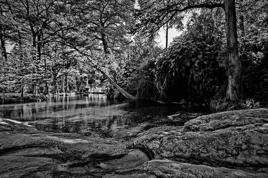 Krause Springs Natural Pool Black and White Photograph by Judy Vincent