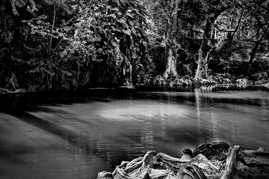 Krause Springs Spicewood Texas Black and White Photograph by Judy Vincent