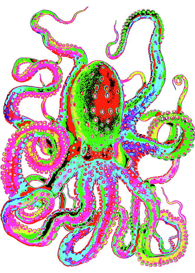 Krazy Kraken Digital Art by Larry Beat