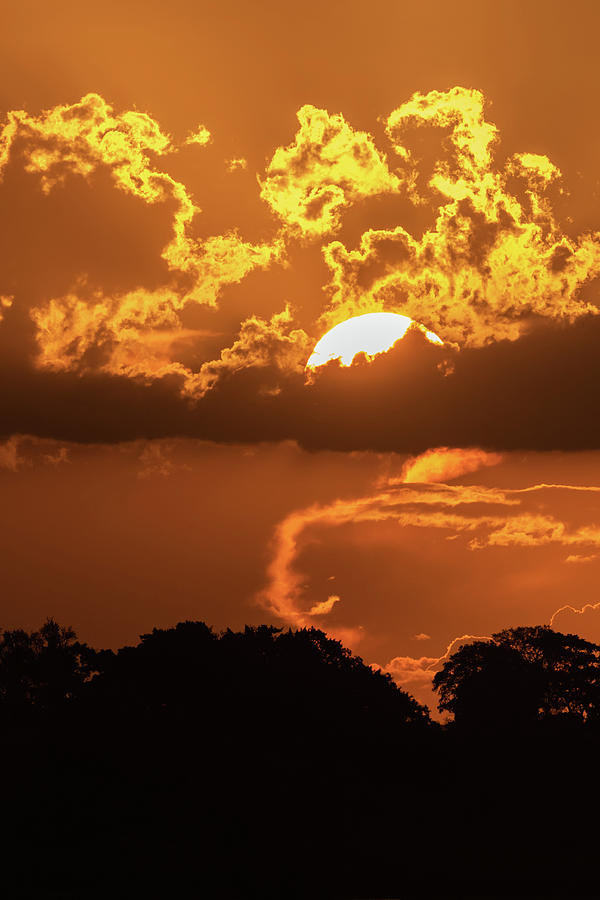 Kruger Vertical Sunset Photograph by MaryJane Sesto
