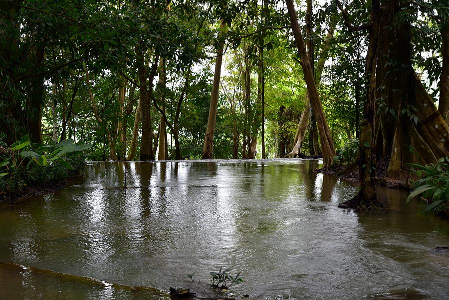 Kuang Si Falls Photograph by Vincent Jary Kuang Si Falls Photograph by Vincent Jary