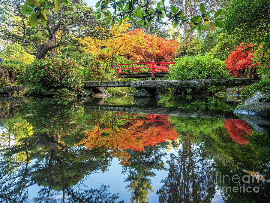 Tree Photograph - Kubota Gardens Fall Colors Reflections by Mike Reid