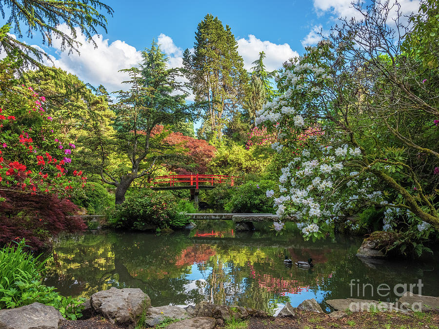 Kubota Gardens in Seattle Springs Beauty Photograph by Mike Reid - Fine ...