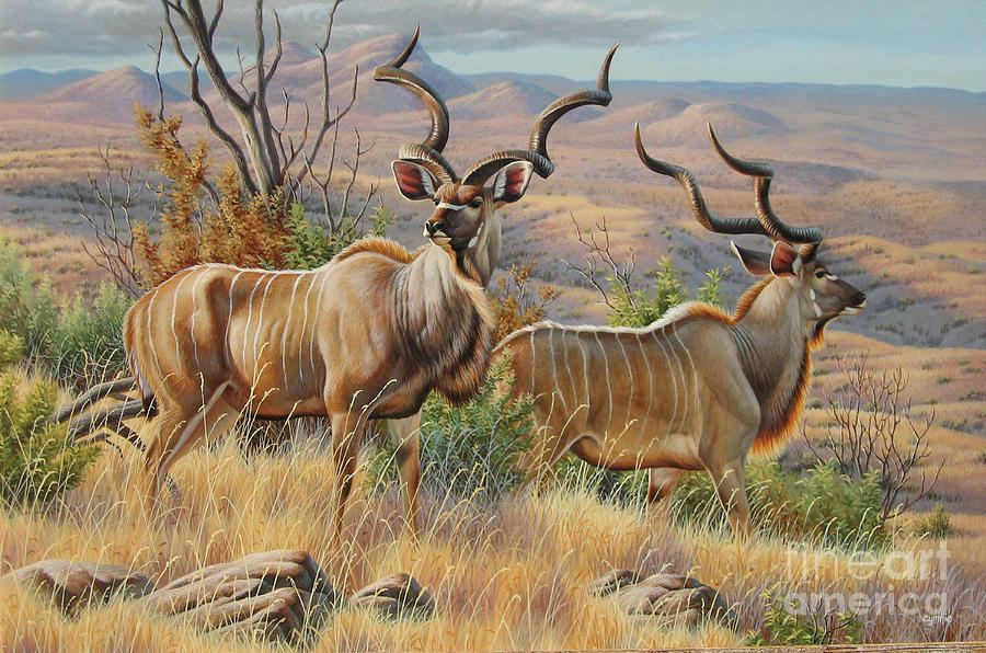 African Animals Painting - Kudu  by Cynthie Fisher
