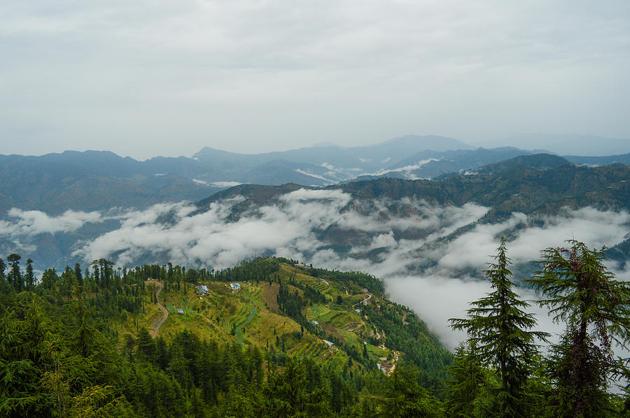 Kufri, Himachal Pradesh Photograph by The Storygrapher