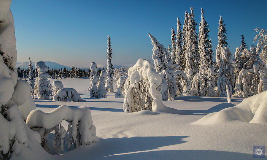 Kukastunturi - Lapland Photograph by Anatole Beams - Pixels