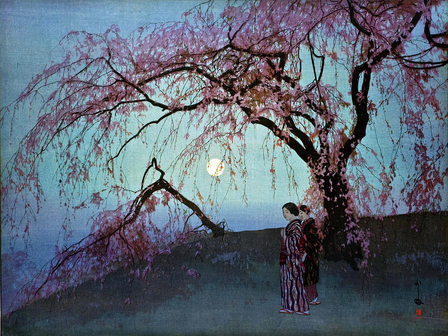 Kumoi Cherry Trees Digital Art by Long Shot