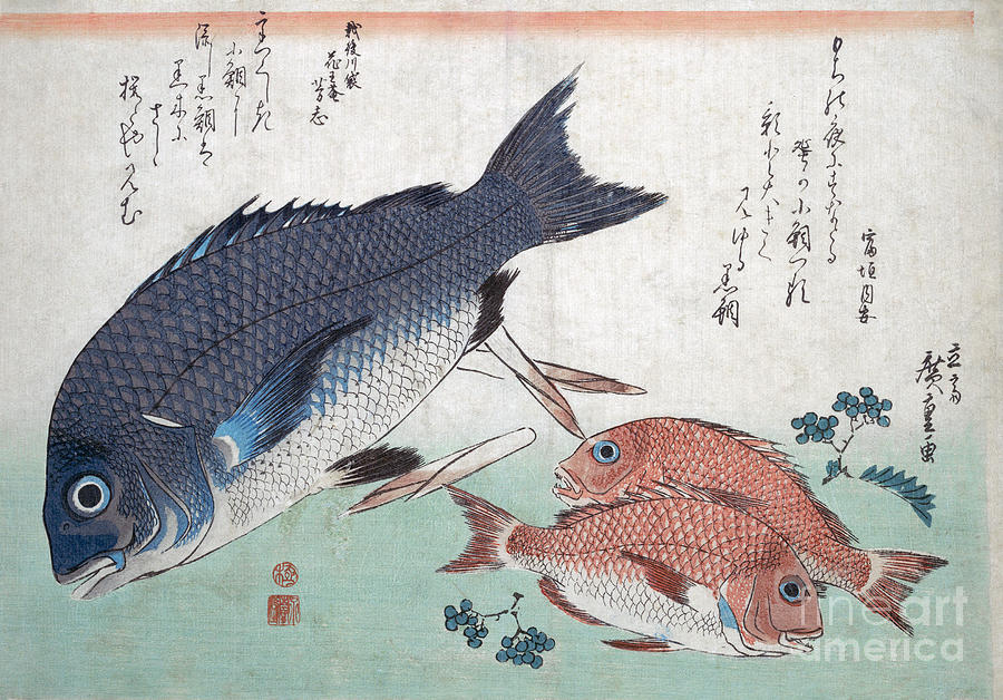 Kurodai and Kodai Fish with Bamboo Shoots and Berries Drawing by Utagawa Hiroshige