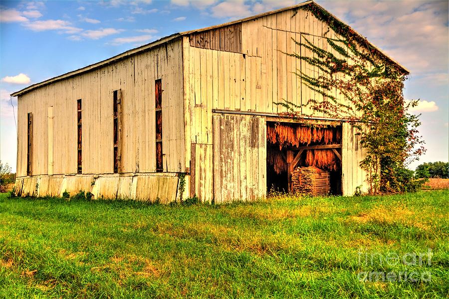 Ky Tobacco Barn Photograph by Paul Lindner | Fine Art America