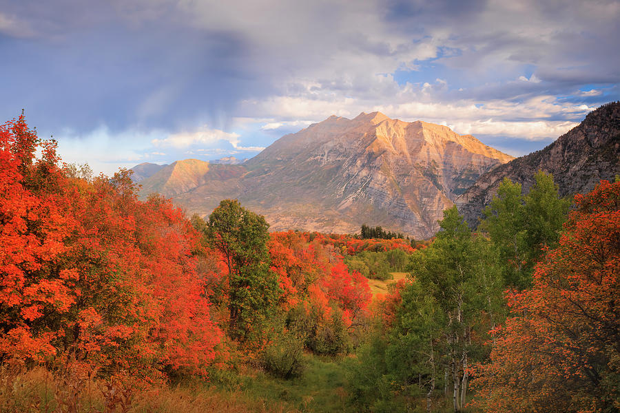 Kyhv Peak Autumn Morning Photograph by Johnny Adolphson Fine Art America