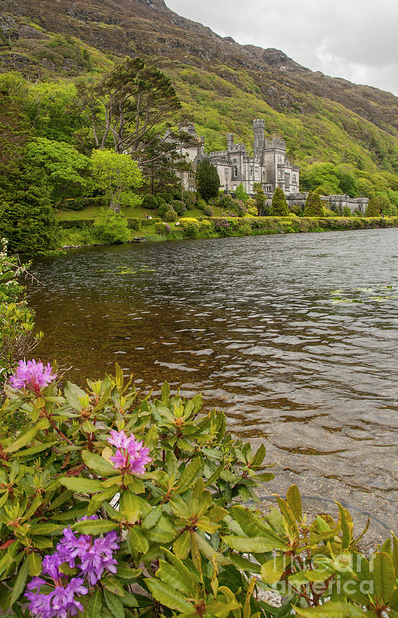Kylemore Abby Castle Photograph by Cindy Murphy