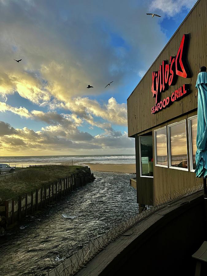 Kyllos in Lincoln City Photograph by Lesa Schirmacher Pixels