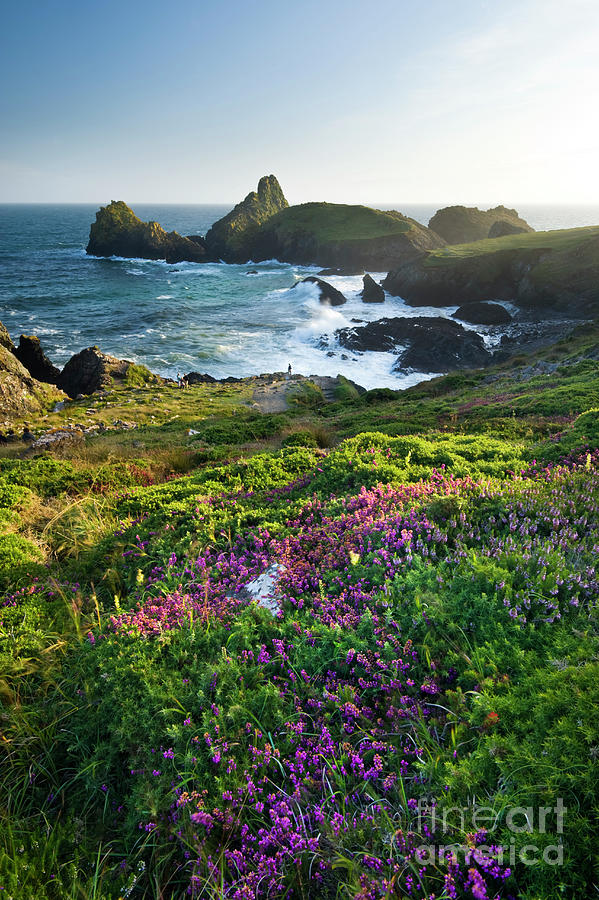 Summer Photograph - Kynance Cove, The Lizard Peninsula, Cornwall by Justin Foulkes
