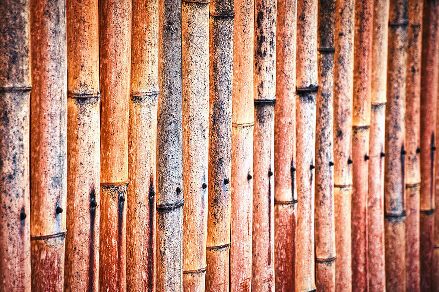 Kyoto Bamboo Fence - Japan Photograph by Stuart Litoff