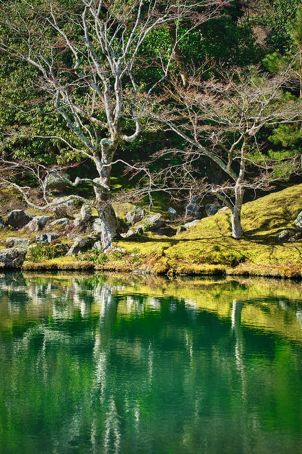 Kyoto Temple Pond Reflections - Japan Photograph by Stuart Litoff
