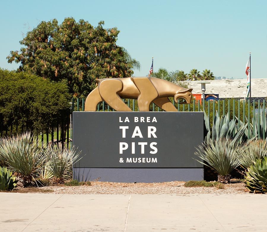 La Brea Tar Pits Photograph by Jeffrey Carmicheal | Fine Art America