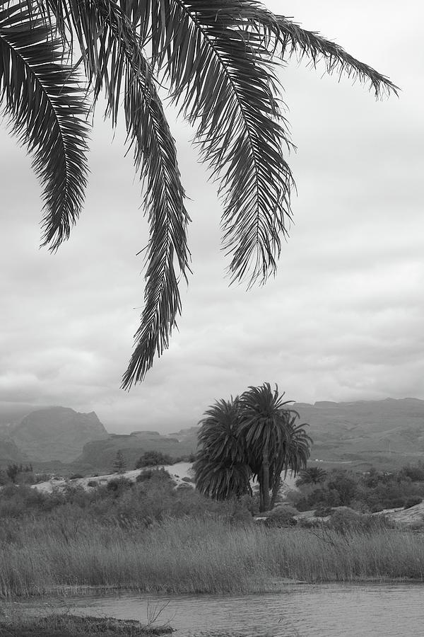 La Charca de Maspalomas Scenic Landscape in Black and White Photograph by Kathrin Poersch