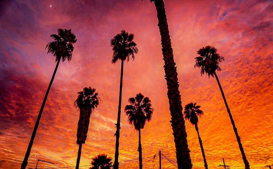 LA Fire Sky Photograph by Elizabeth Rosas - Pixels