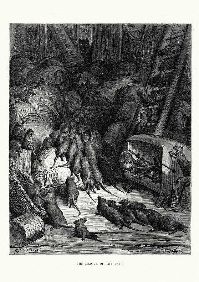 La Fontaines Fables - The League of Rats Drawing by Duncan1890