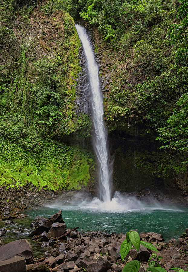 La Fortuna Waterfall II Photograph by Stephen Anderson
