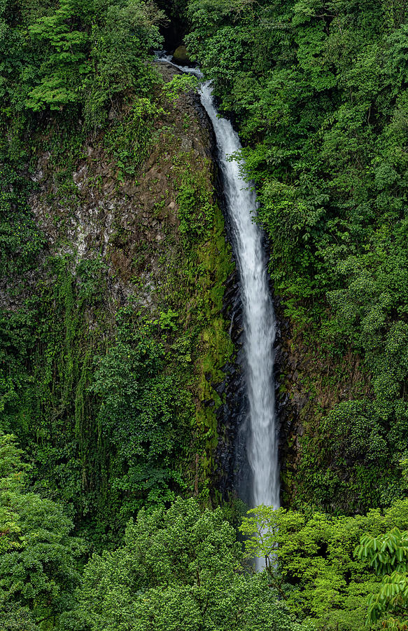 La Fortuna Waterfall Photograph by Stephen Anderson