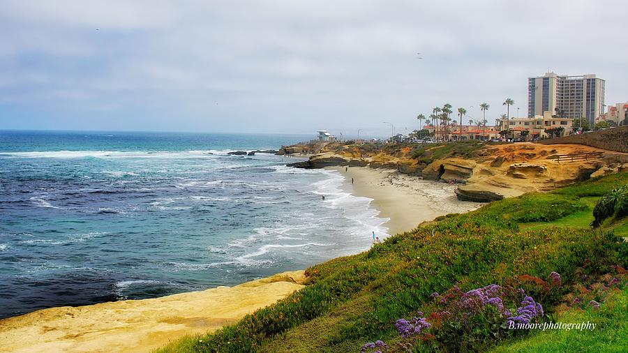 La Jolla Beach and Purple Flowers Photograph by Bruce Moore - Fine Art ...