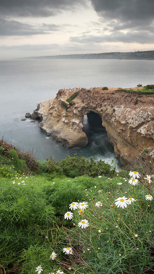 La Jolla Cliffs At Dawn Photograph By William Dunigan Fine Art America