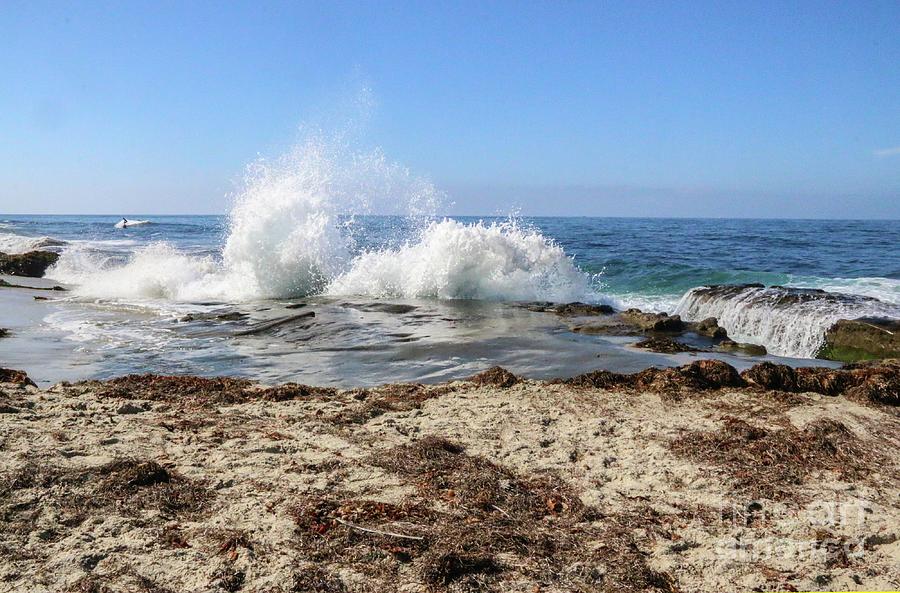 La-Jolla_0138 Photograph by Perry Faciana - Fine Art America