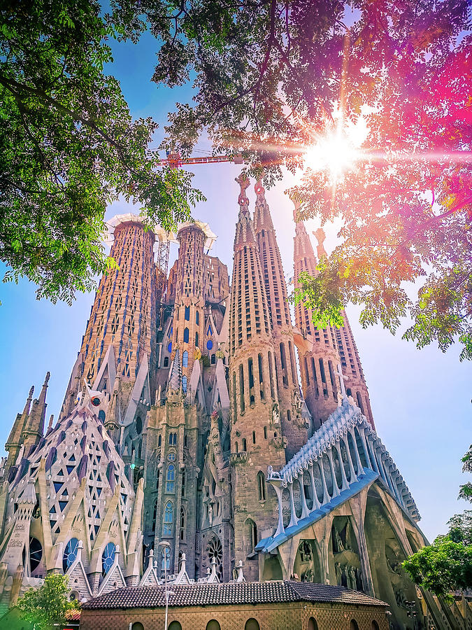 La Sagrada Familia Photograph by Art Spectrum