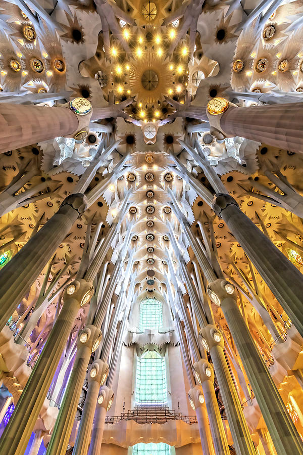 La Sagrada Familia Ceiling 2022 Photograph by Lindley Johnson - Fine ...