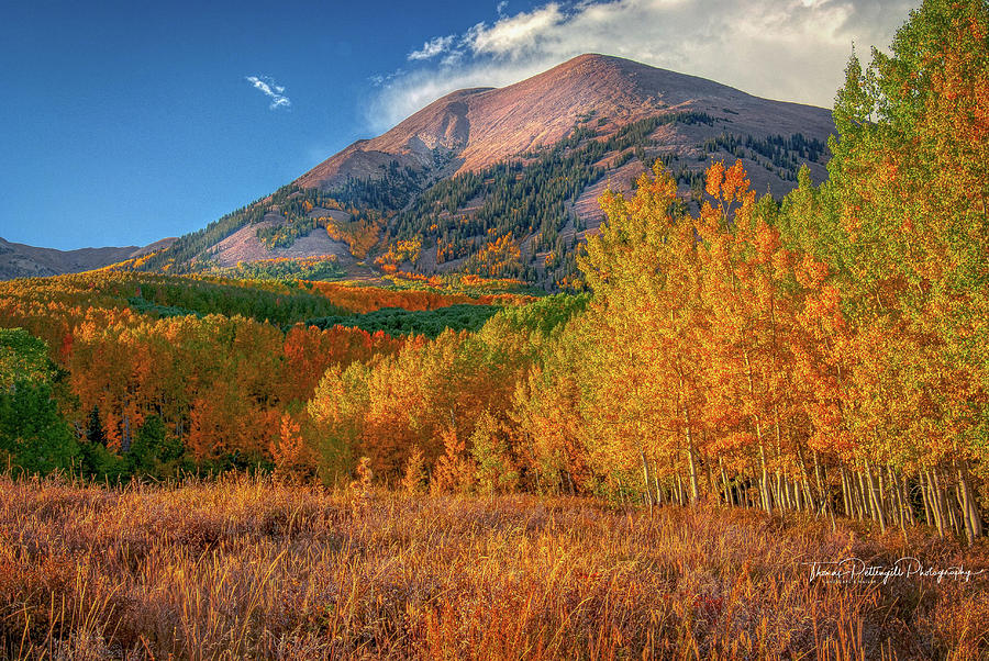 Fall Colors Photograph - La Sal Mountains - Fall Colors by Thomas Pettengill
