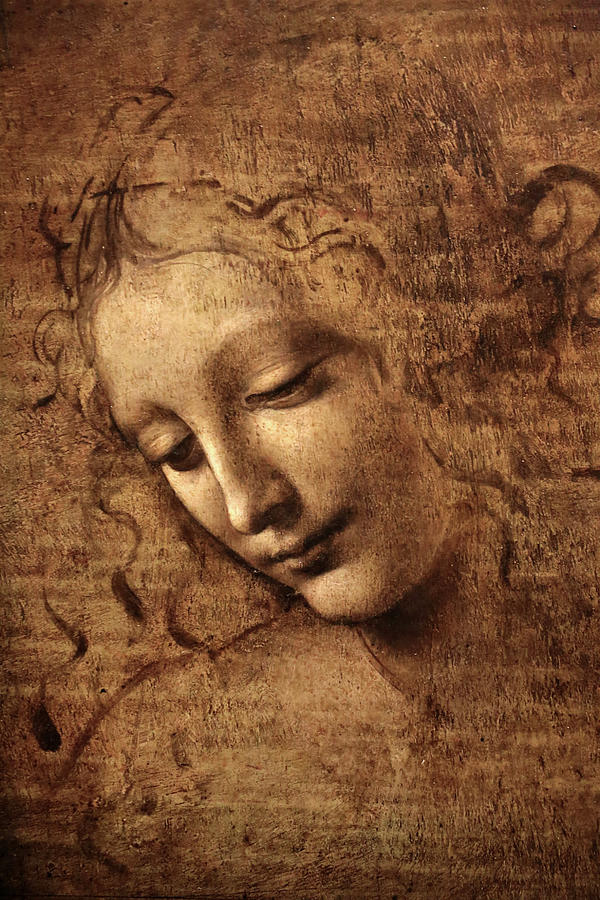 La Scapigliata 1508 Painting by Leonardo da Vinci