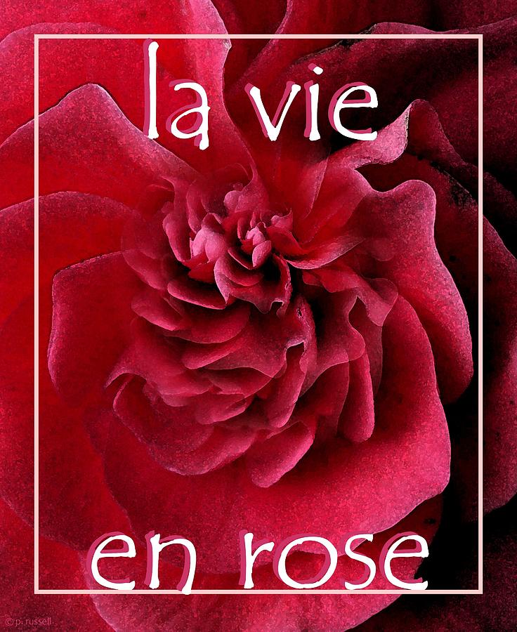 La Vie En Rose Graphic Mixed Media by P Russell