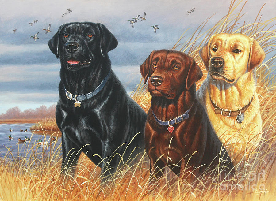 Lab Trio Painting by Cynthie Fisher
