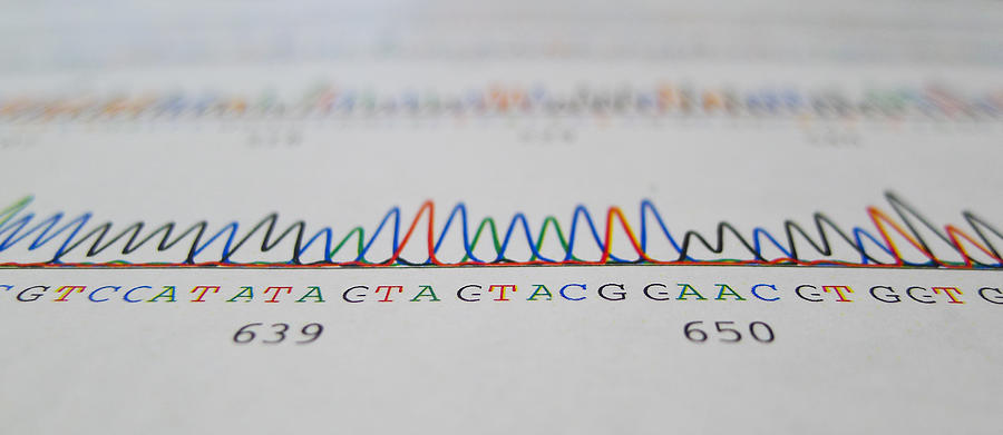 Laboratory results of a DNA Sequencing Study Photograph by Gregory Adams