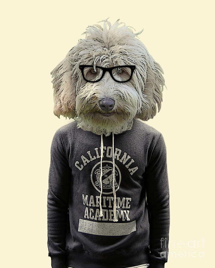 Cool Digital Art - Labradoodle college student by Madame Memento