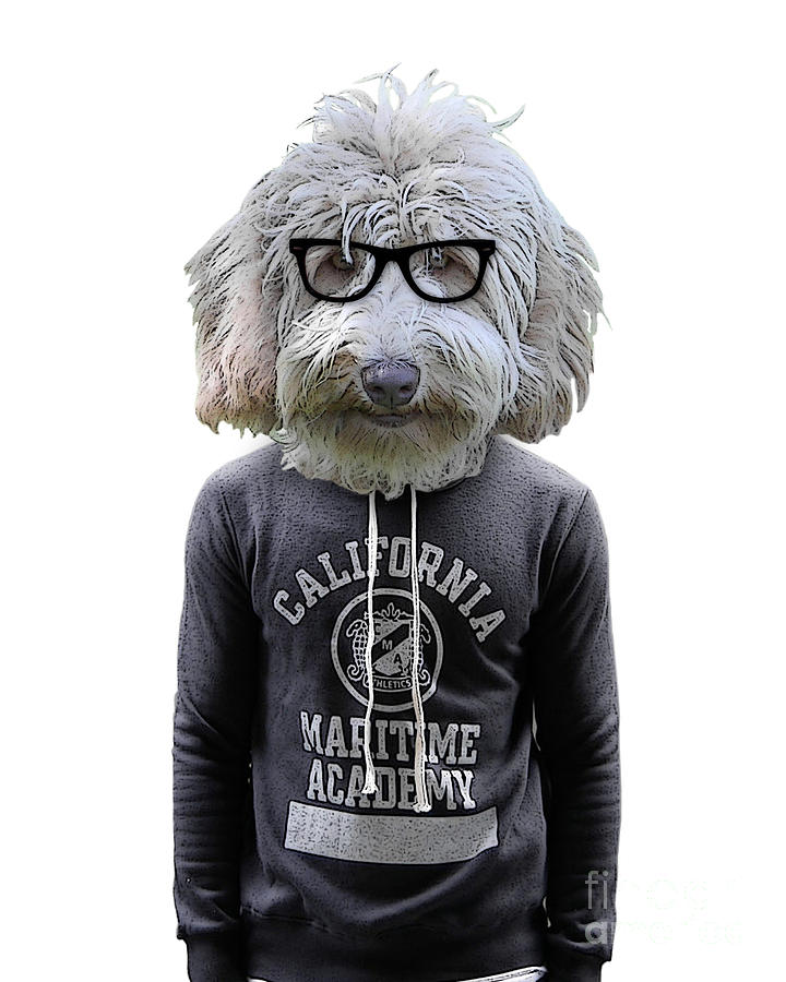 Cool Digital Art - Labradoodle hipster by Madame Memento