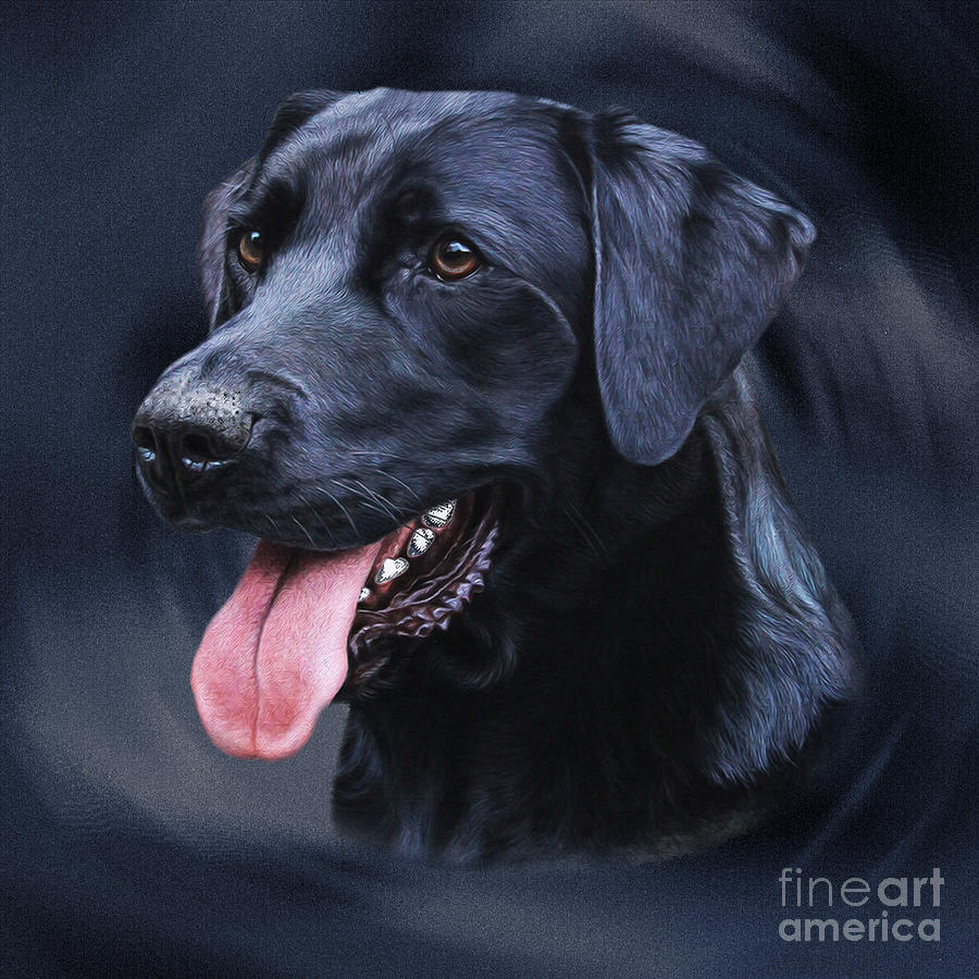 Labrador bbh  Painting by Gull G