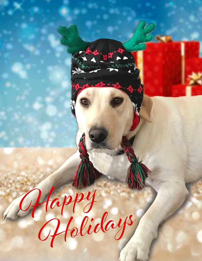 Labrador Dog Happy Holidays Digital Art by Inge Lewis
