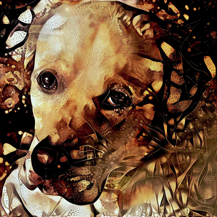 Labrador Retriever - That Look Mixed Media by Peggy Collins