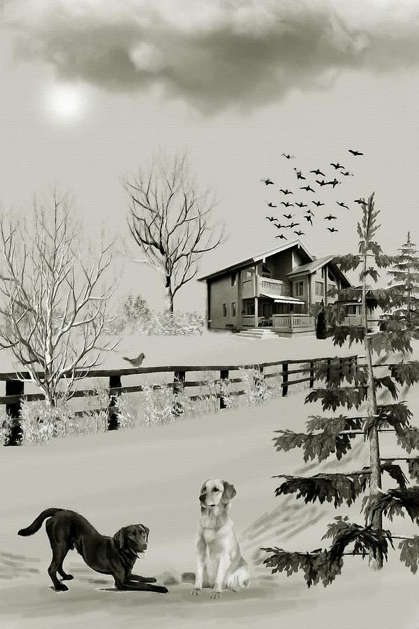 Labrador Retrievers Winter Snow B W Mixed Media by David Dehner