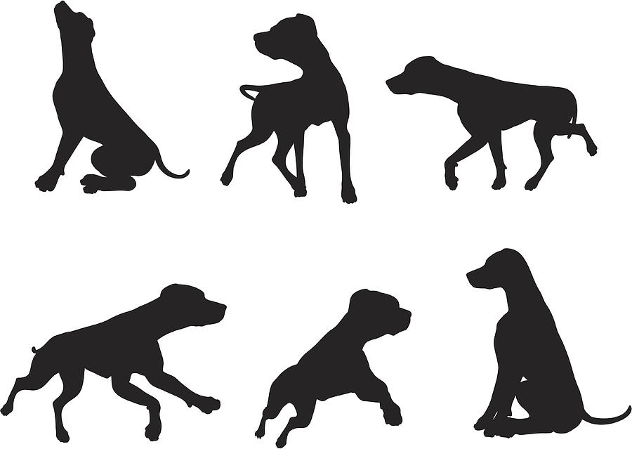 Labrador Silhouette Collection Drawing by Hypergon