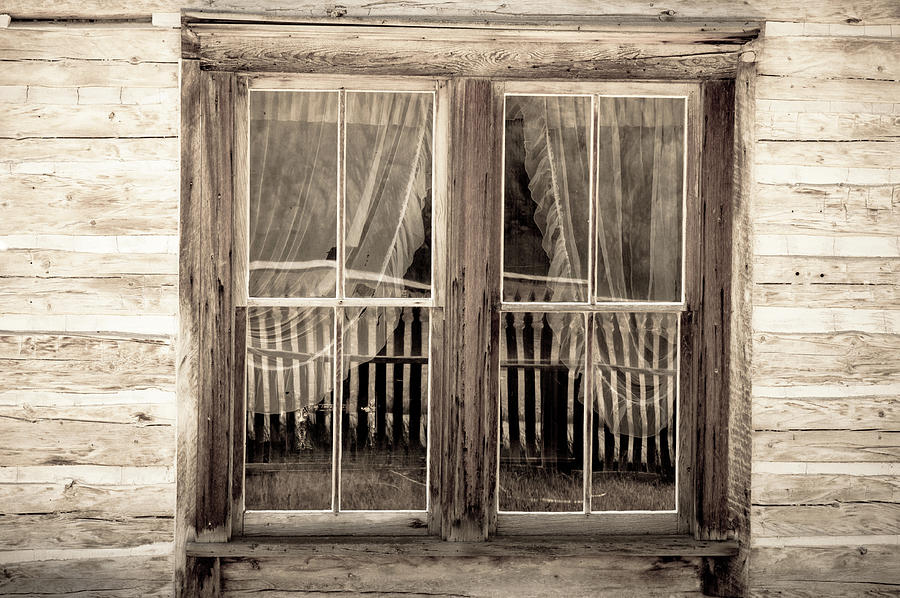 Lace Curtains and Picket Fence Photograph by Tara Krauss