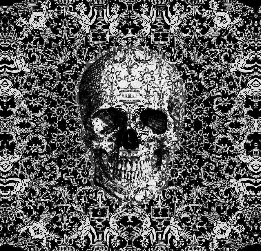 Lace V.1 Skull Digital Art by Diego Taborda